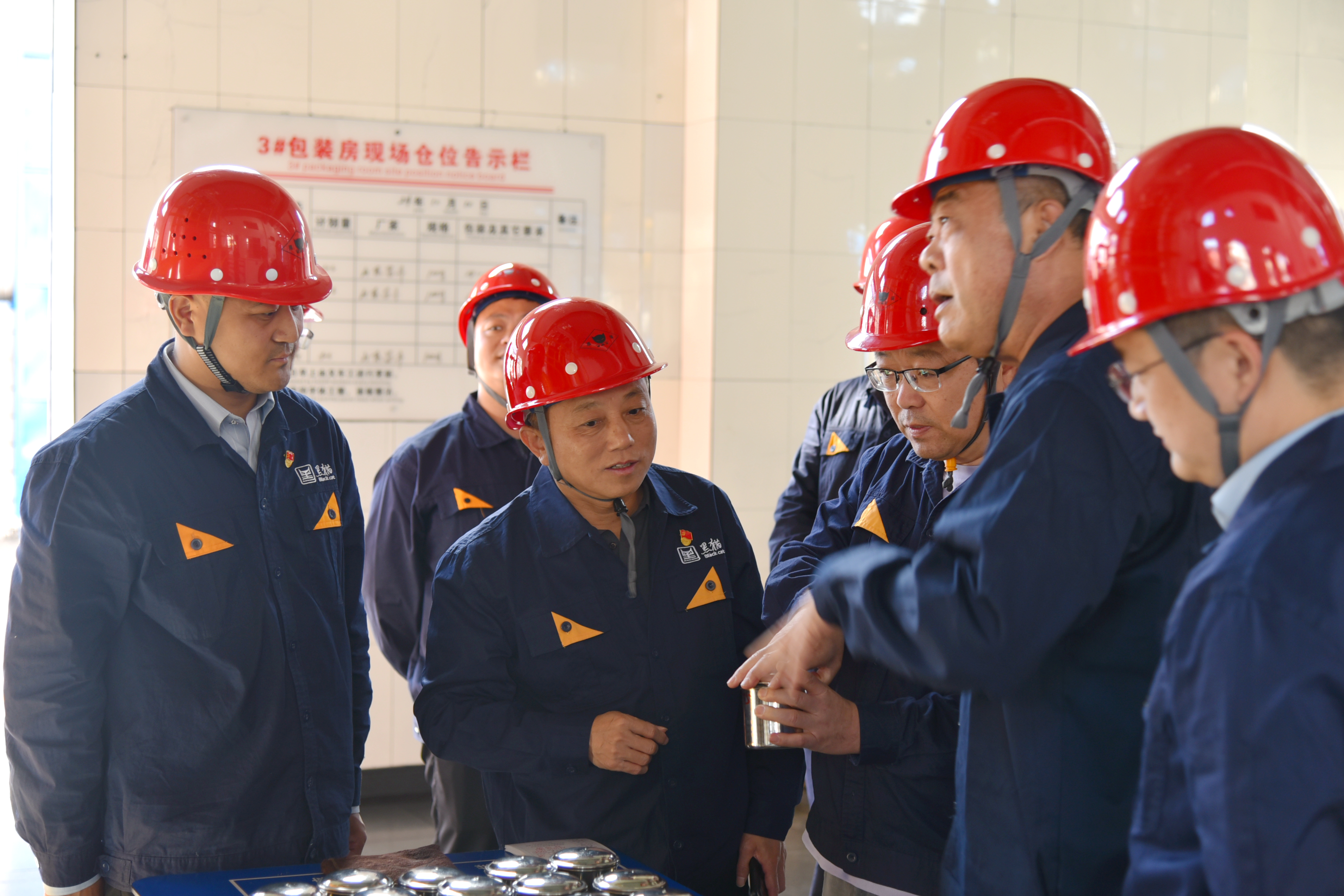 圖2 打包房查看包裝炭黑粒子.jpg 圖2 打包房查看包裝炭黑粒子.jpg