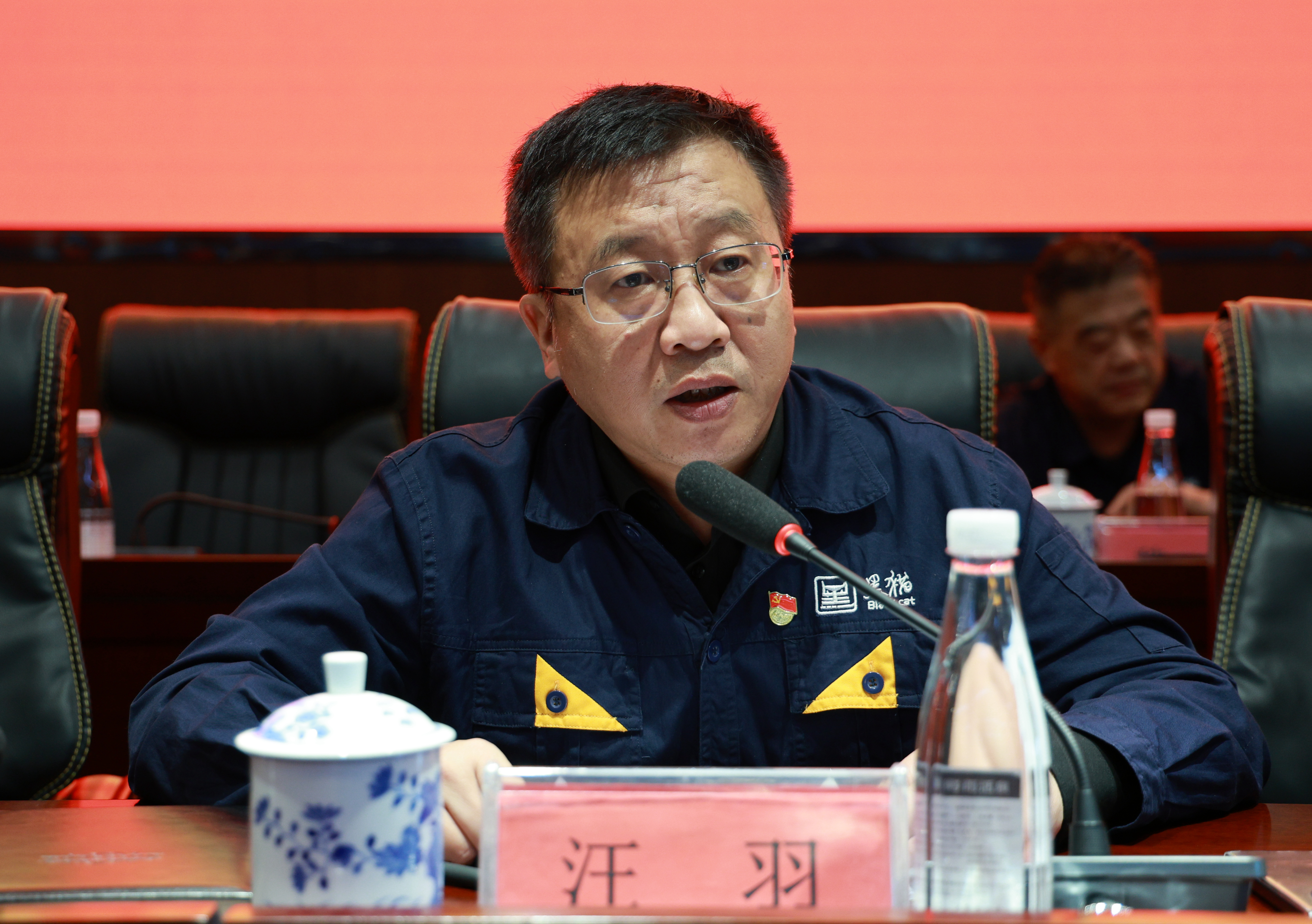 圖3 汪羽講話(huà).jpg 圖3 汪羽講話(huà).jpg